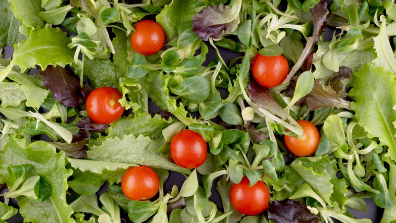 Gemischter grüner Salat mit frischem Gemüse und Kräutern